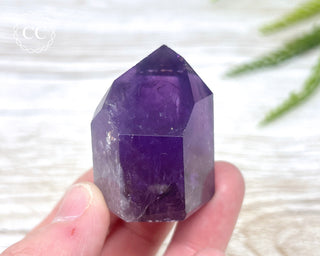 Bahia Amethyst Tower #6