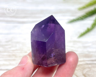 Bahia Amethyst Tower #6