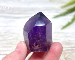 Bahia Amethyst Tower #6