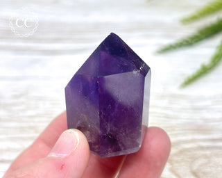 Bahia Amethyst Tower #6