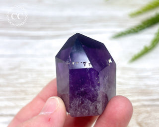 Bahia Amethyst Tower #6