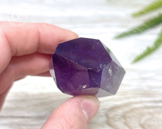 Bahia Amethyst Tower #6