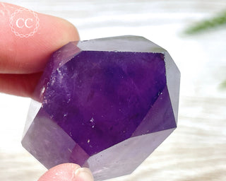 Bahia Amethyst Tower #6