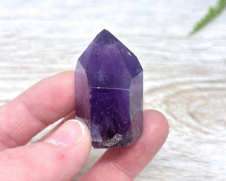 Bahia Amethyst Tower #12
