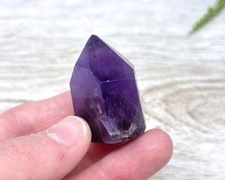 Bahia Amethyst Tower #12