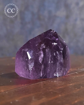 Bahia Amethyst Tower #5