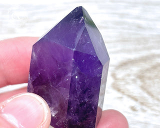 Bahia Amethyst Tower #12