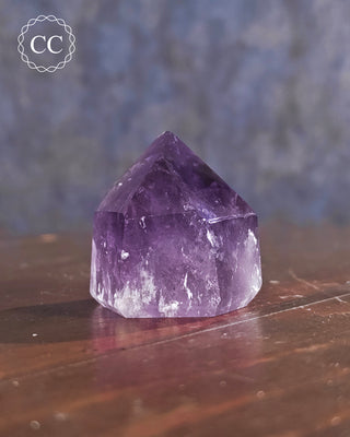Bahia Amethyst Tower #7