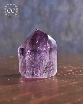 Bahia Amethyst Tower #13