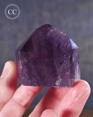 Bahia Amethyst Tower #4
