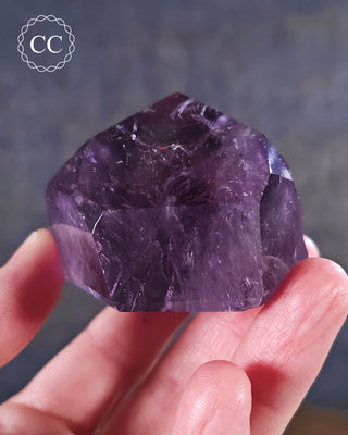 Bahia Amethyst Tower #5