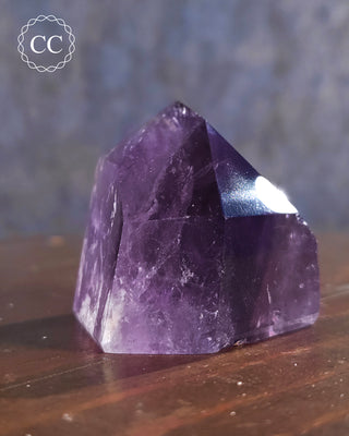 Bahia Amethyst Tower #4
