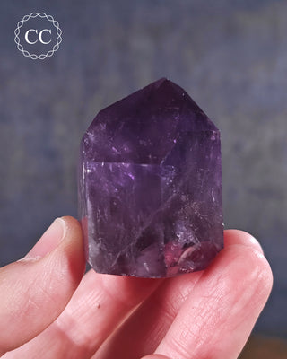 Bahia Amethyst Tower #6