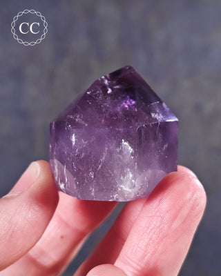 Bahia Amethyst Tower #7