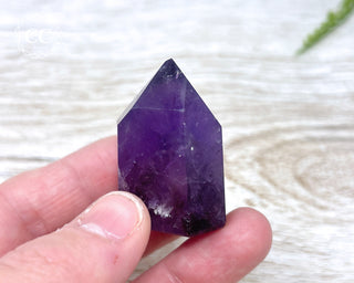 Bahia Amethyst Tower #12
