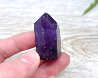 Bahia Amethyst Tower #12