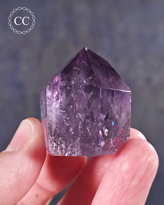 Bahia Amethyst Tower #13