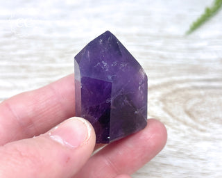 Bahia Amethyst Tower #12