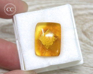 Baltic Amber Reverse Intaglio Cab #1