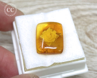 Baltic Amber Reverse Intaglio Cab #1