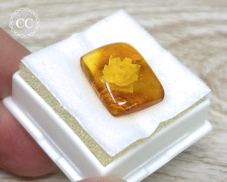 Baltic Amber Reverse Intaglio Cab #1