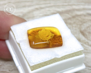 Baltic Amber Reverse Intaglio Cab #1