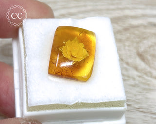 Baltic Amber Reverse Intaglio Cab #1