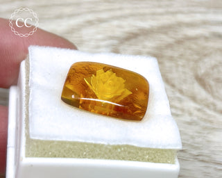 Baltic Amber Reverse Intaglio Cab #1