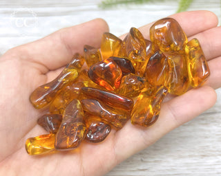 Baltic Amber Tumbled Crystals in hand