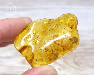 Baltic Amber with Insects & Spider #1