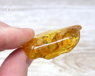 Baltic Amber with Insects & Spider #1