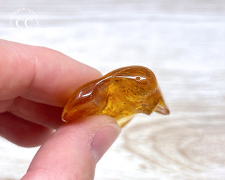 Baltic Amber with Insects & Spider #1
