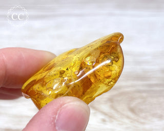 Baltic Amber with Insects & Spider #1