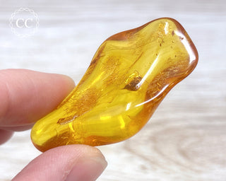 Baltic Amber with Insect #2