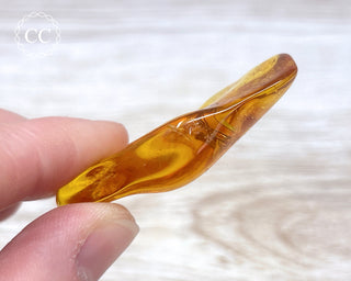 Baltic Amber with Insect #2