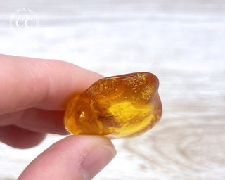 Baltic Amber with Insect #2