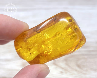 Baltic Amber with Insect & Spiders #3