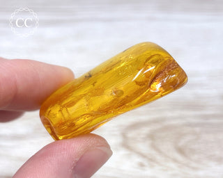 Baltic Amber with Insect & Spiders #3