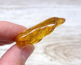 Baltic Amber with Insects & Spider #1