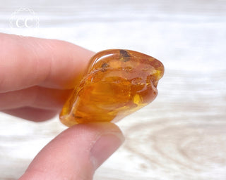 Baltic Amber with Insect & Spiders #3