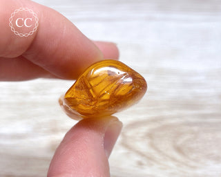 Baltic Amber with Insect & Spiders #3