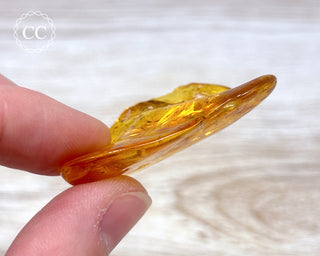 Baltic Amber with Insects & Spider #1