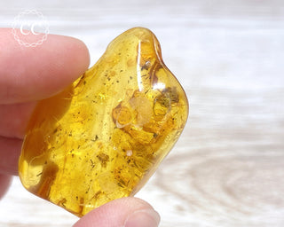 Baltic Amber with Insects & Spider #1