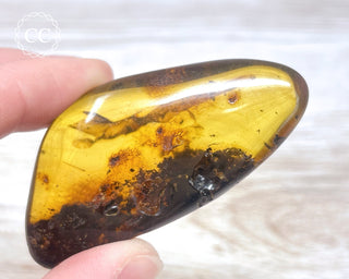 Baltic Amber #4