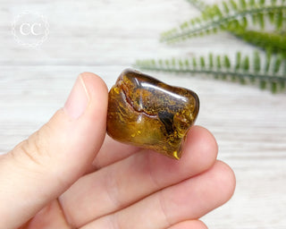 Large Baltic Amber #24