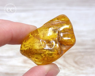 Baltic Amber #15