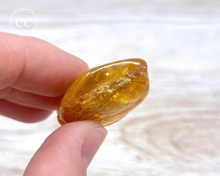 Baltic Amber #15