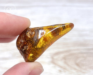 Baltic Amber #16