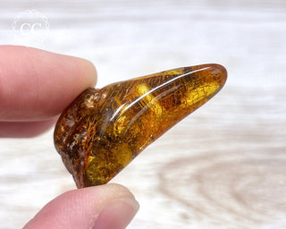 Baltic Amber #16
