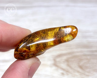 Baltic Amber #16